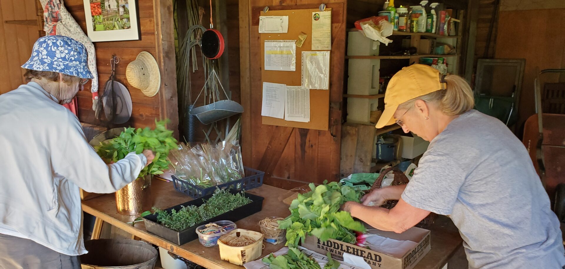 Photo of volunteers sorting produce at the Interfaith Garden